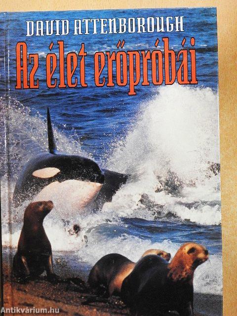 Az élet erőpróbái