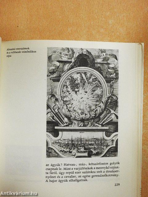 Buda visszavívása, 1686