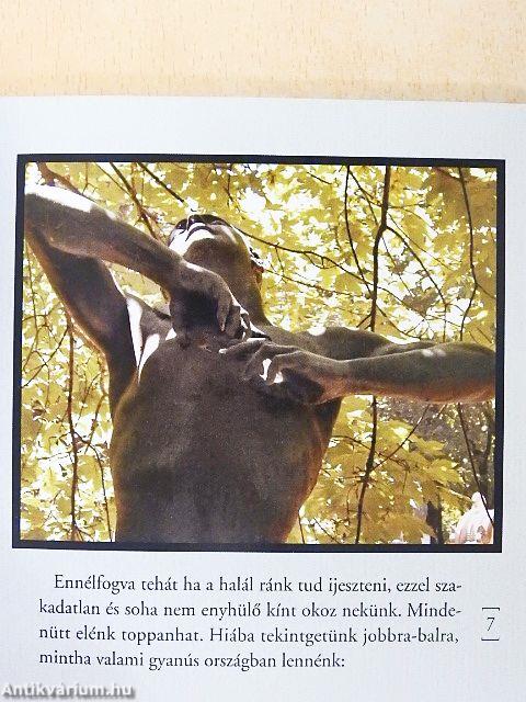 A meghalás tudománya