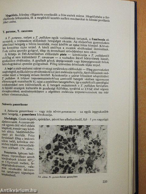 Orvosi mikrobiológia-immunitástan-parazitológia