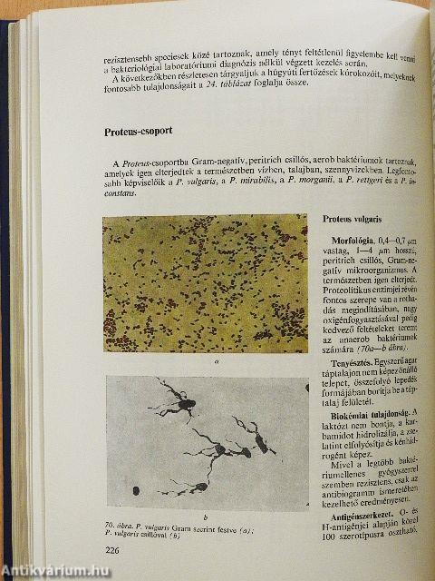 Orvosi mikrobiológia-immunitástan-parazitológia
