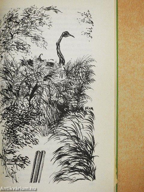 Csik tudta, hol van a kutya elásva