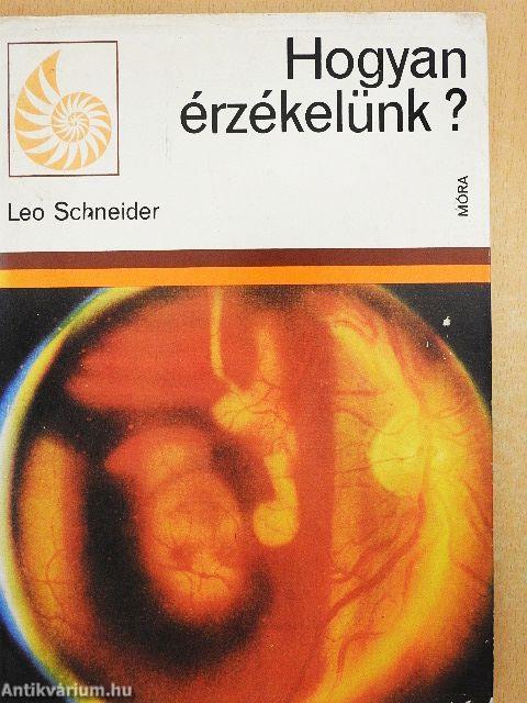 Hogyan érzékelünk?
