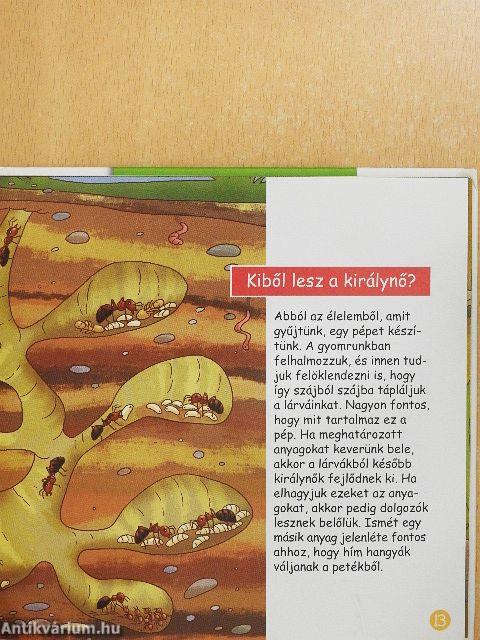 Az erdei vöröshangya