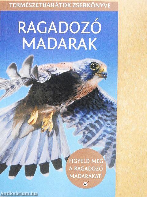 Ragadozó madarak
