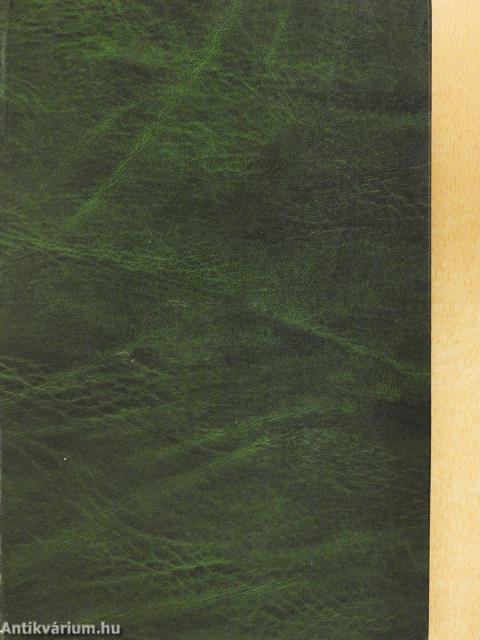 Die Stadt im Karpatenbecken (dedikált példány)