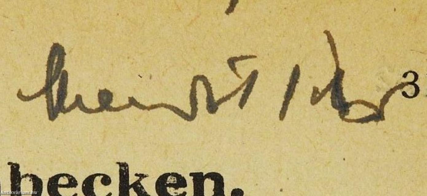 Die Stadt im Karpatenbecken (dedikált példány)