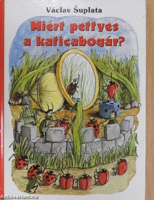 Miért pettyes a katicabogár?