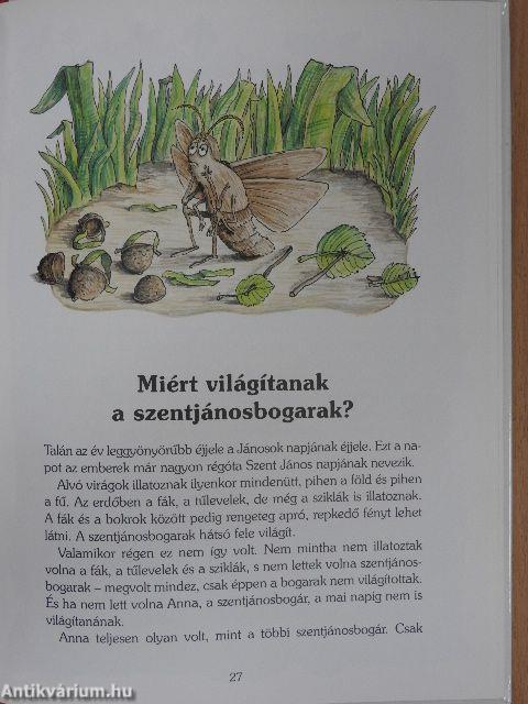 Miért pettyes a katicabogár?