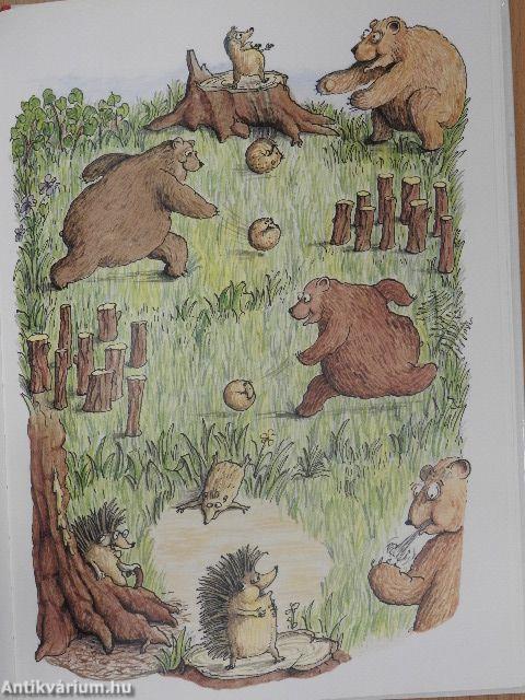 Miért pettyes a katicabogár?