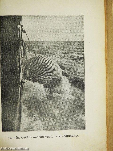 A trópusokon át a Déli Jeges tengerre