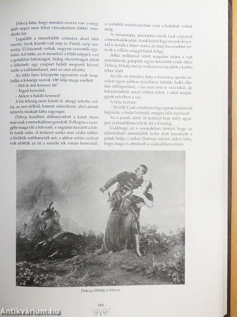 A magyar nemzet története regényes rajzokban