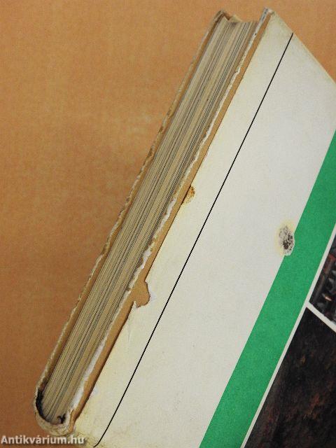 S középen ott a Velencei-tó...