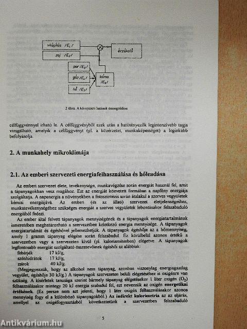 A fizikai munkakörnyezet