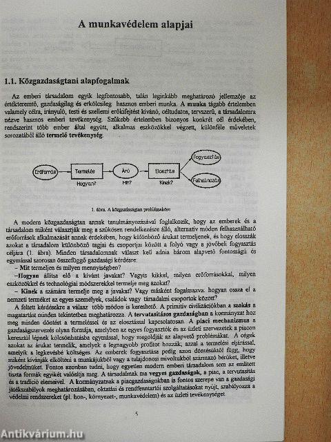 A munkavédelem alapjai