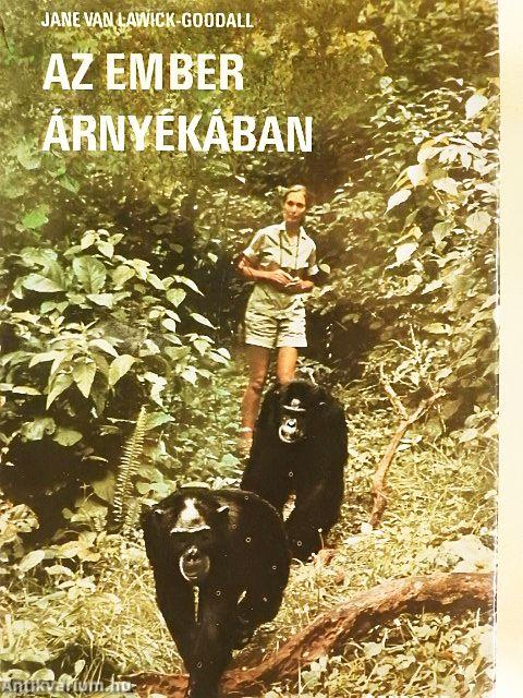 Az ember árnyékában