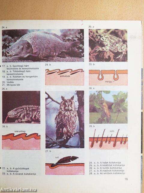 Biológiai album II.
