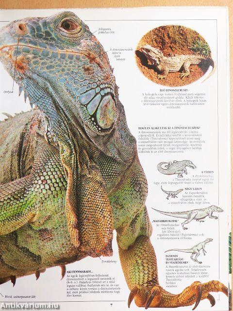 A dinoszaurusz