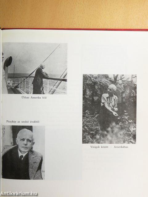 Bartók Béla - Lemezzel