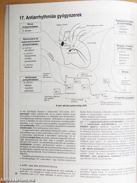 Rövid farmakológia