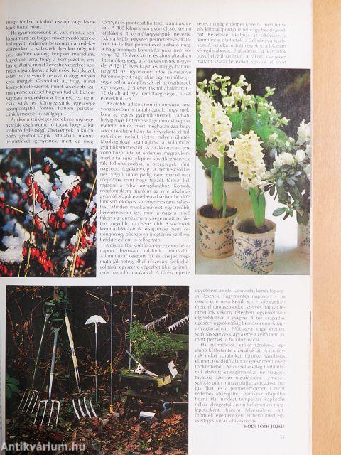 Az Otthon 1993. január-december