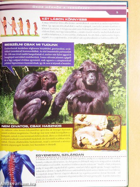 Okos mérnök a természet