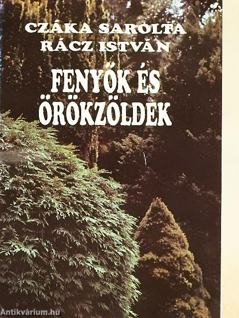 Fenyők és örökzöldek