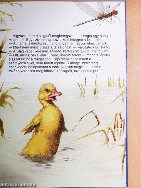 Hápi világgá megy