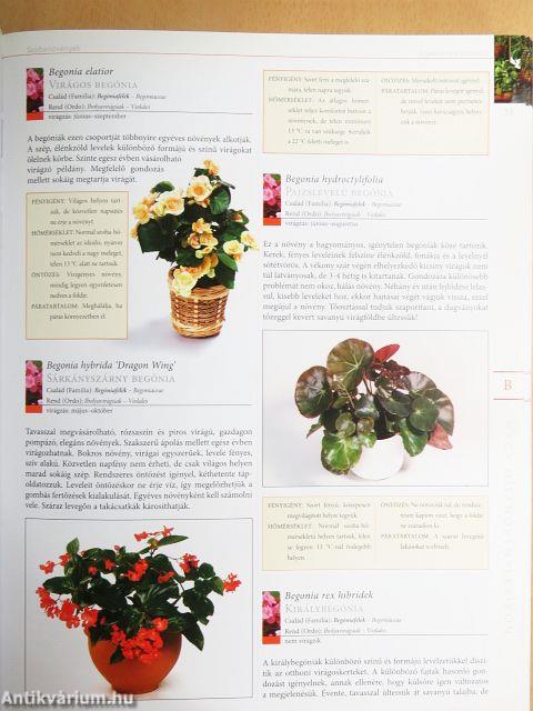 Nagy dísznövénylexikon