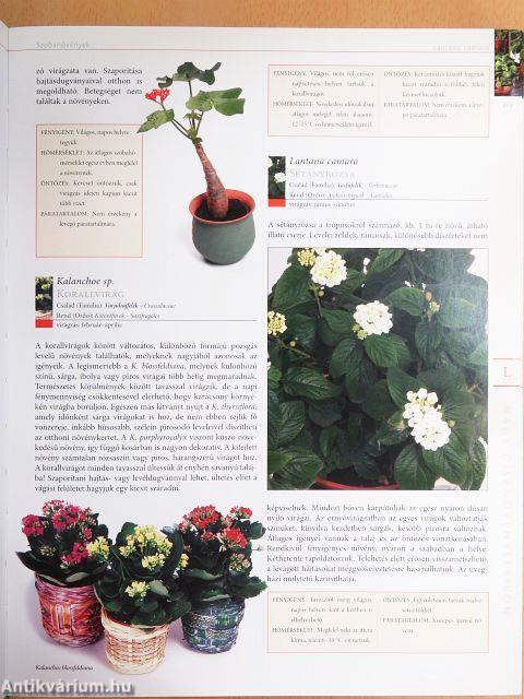 Nagy dísznövénylexikon