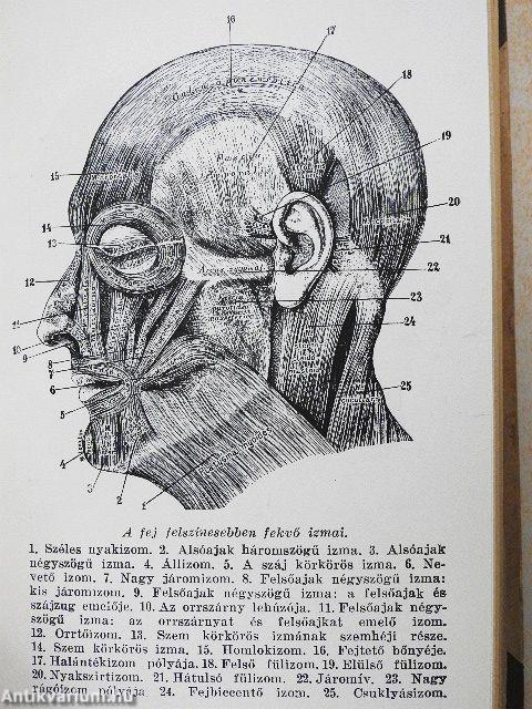 A kozmetikus kézikönyve