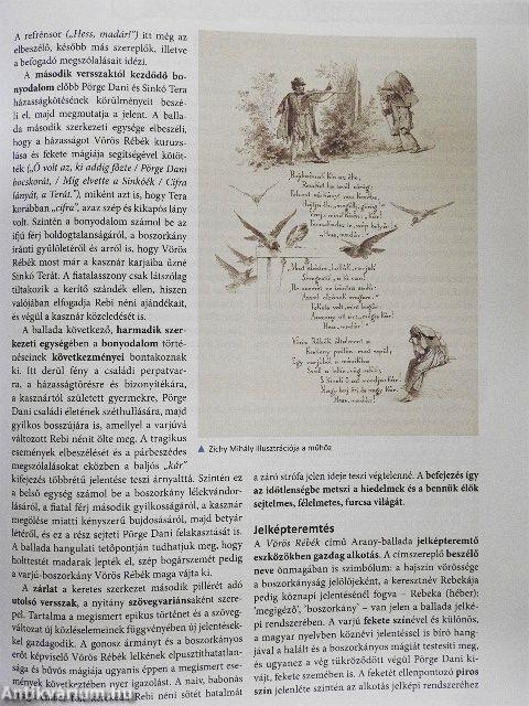 Irodalom tankönyv 11.