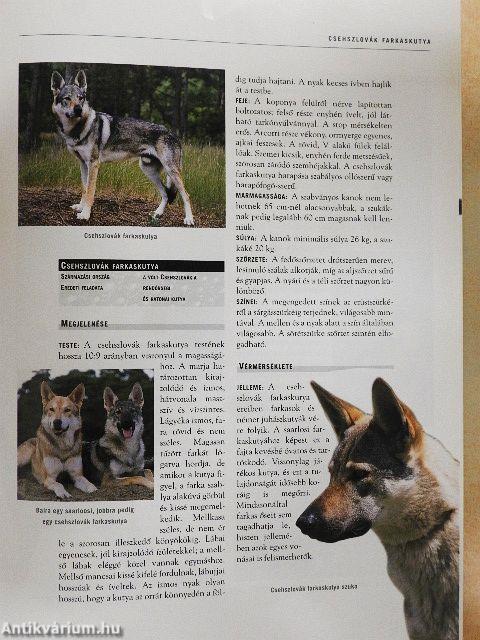 Nagy kutya enciklopédia