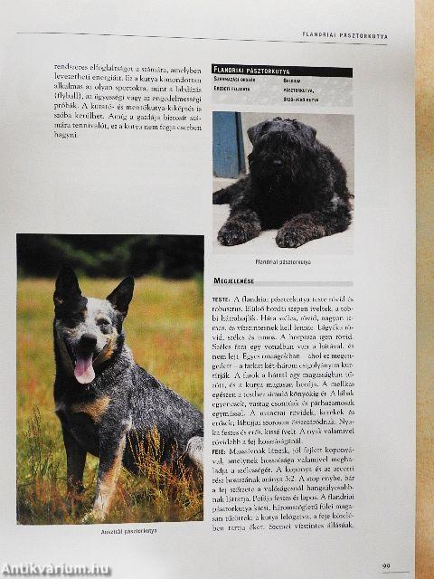 Nagy kutya enciklopédia