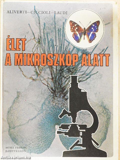 Élet a mikroszkóp alatt