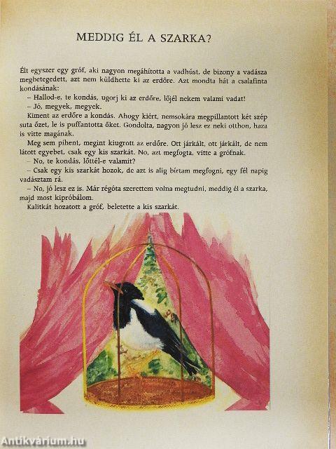 A megpatkolt boszorkány