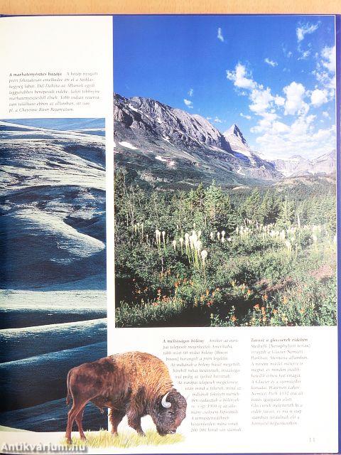 Az úti cél Észak-Amerika