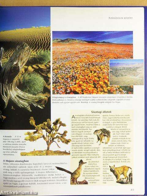 Az úti cél Észak-Amerika