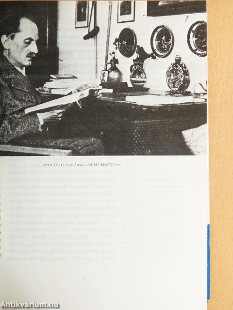 Babits Mihály beszélgetőfüzetei I-II. 