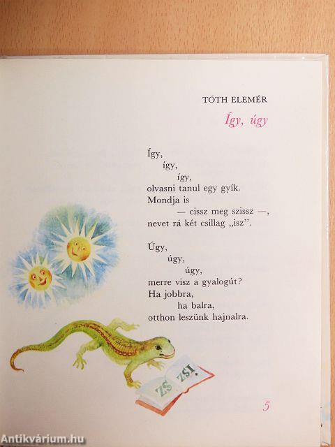 Labdarózsa, nyári hó