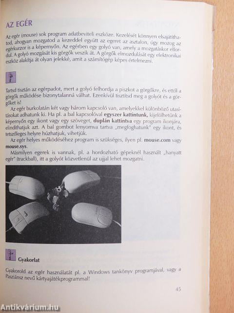 Számítástechnika 12-13 éveseknek