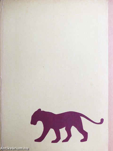 Négylábú barátaim