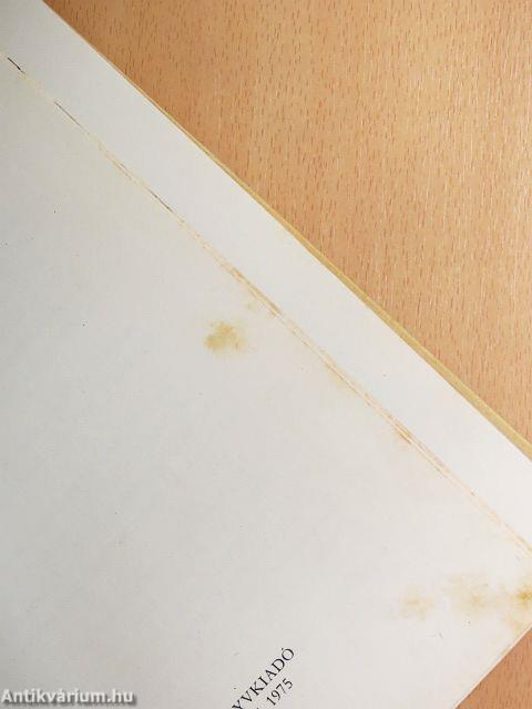 Négylábú barátaim