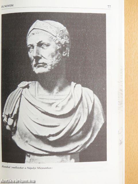 Latin nyelvkönyv II.