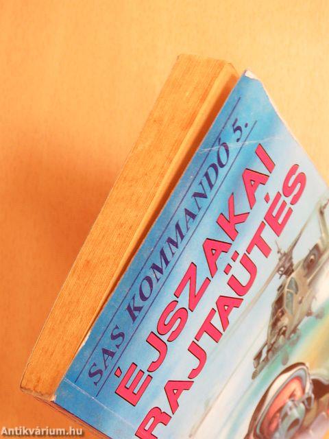 Éjszakai rajtaütés