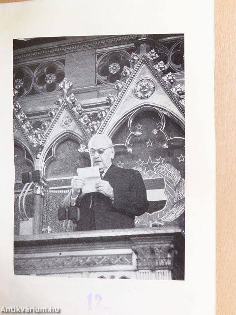 Egy magyar polgár élete I.