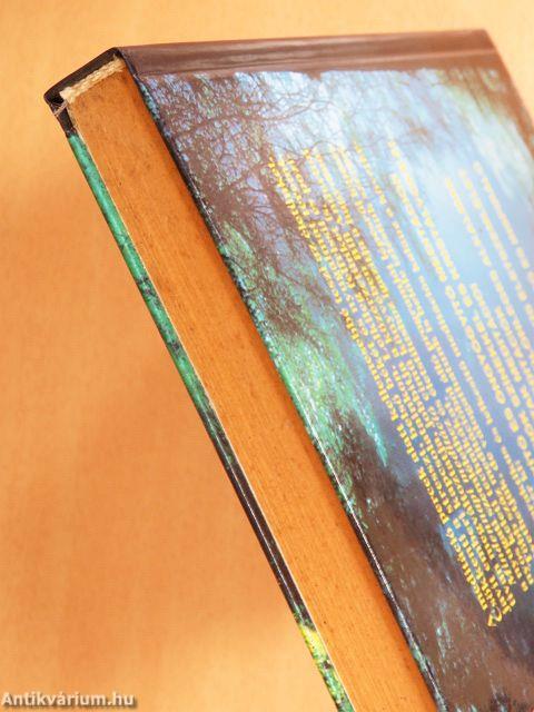 Mindennapi meditáció