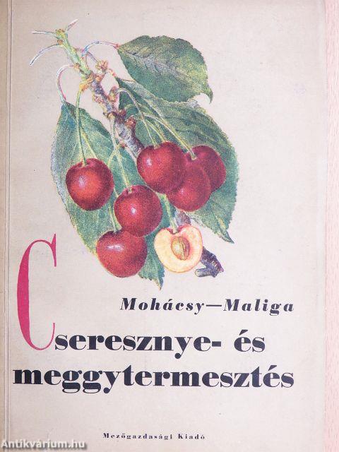 Cseresznye- és meggytermesztés