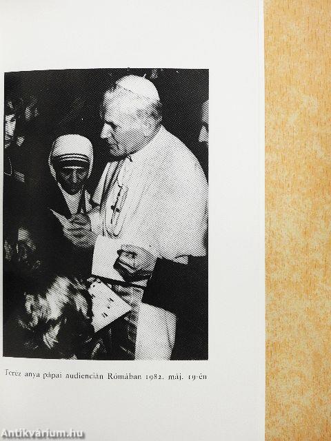 Kalkuttai Teréz Anya