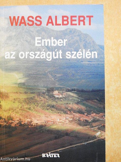 Ember az országút szélén